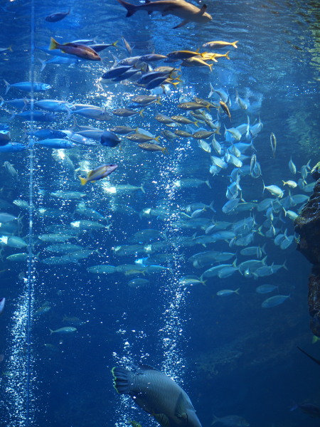a0024250_0464756.jpg