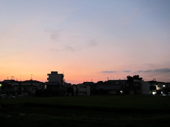 b0200852_21303763.jpg
