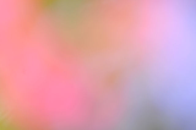 c0230252_2258571.jpg