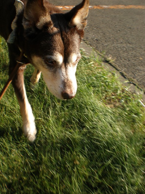 d0006253_20112483.jpg