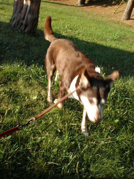 d0006253_20122168.jpg