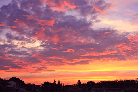 a0248459_2583236.jpg