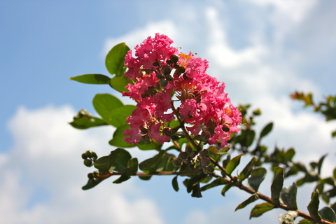 a0248459_301069.jpg