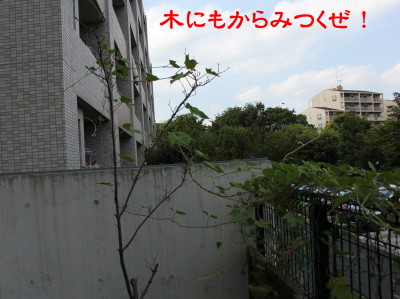 b0158061_2121198.jpg