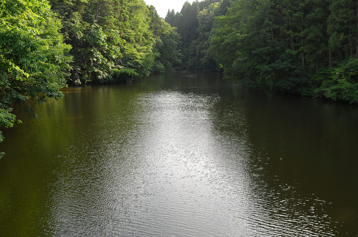 d0090161_21411996.jpg