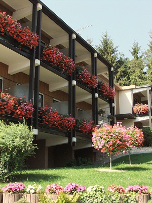 f0097363_17121179.jpg