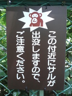 c0238371_141449100.jpg