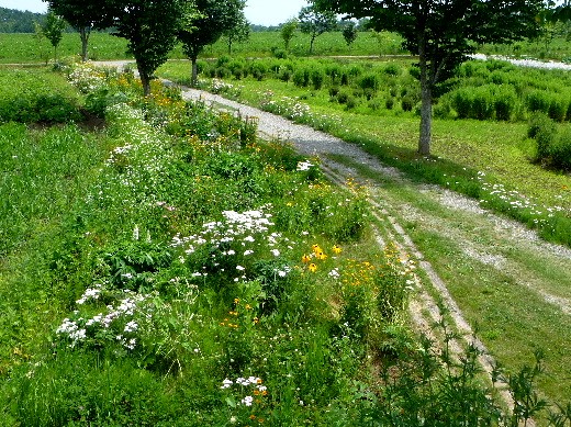 d0084473_2051205.jpg