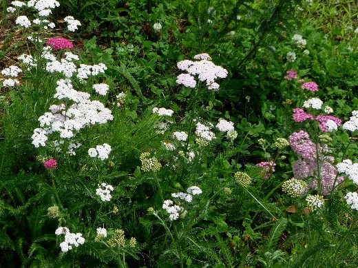 d0084473_20512836.jpg