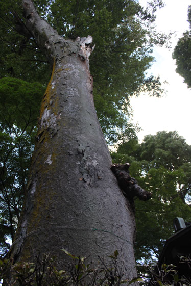 e0112077_3542898.jpg