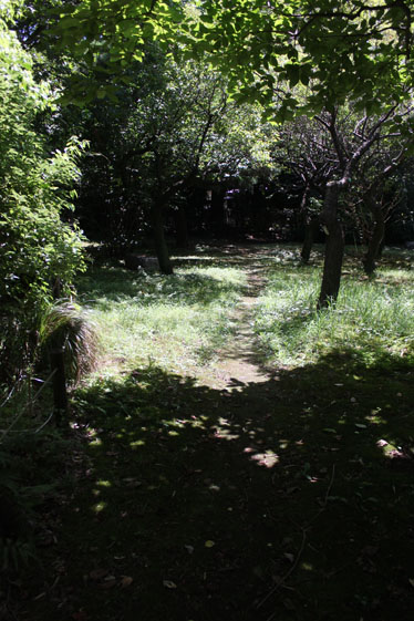 e0112077_3543714.jpg