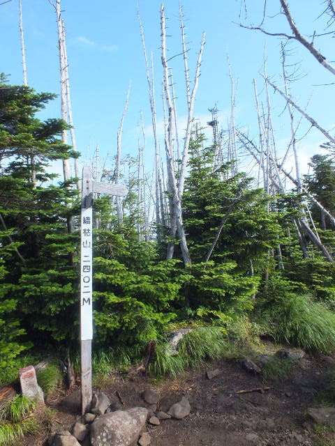 e0145782_64346.jpg