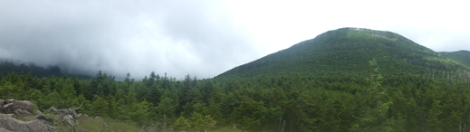 e0145782_671418.jpg