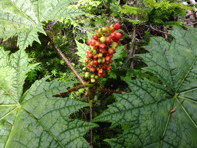 e0145782_69379.jpg