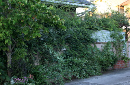 e0154682_23491125.jpg