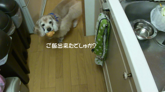 f0218182_11355757.jpg