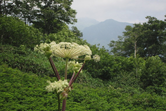 b0160184_22392826.jpg