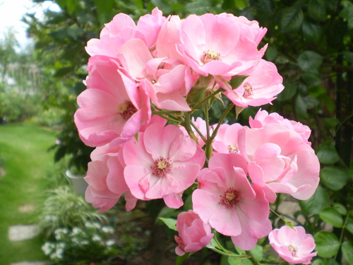 a0135990_2231653.jpg