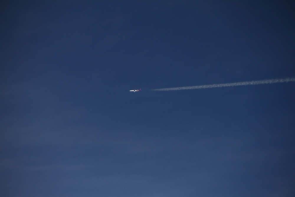 e0204891_1923154.jpg