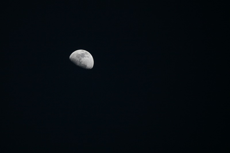 c0132496_051593.jpg