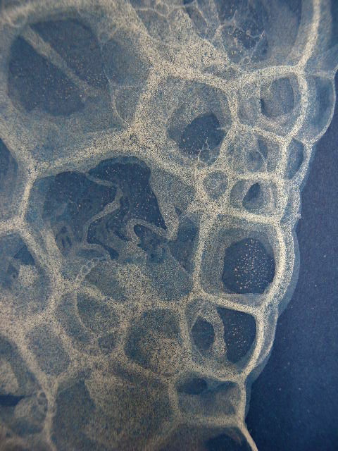 a0199297_035859.jpg