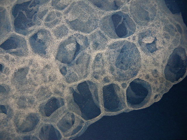 a0199297_041029.jpg