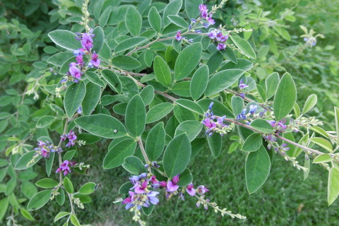 f0153998_23572818.jpg