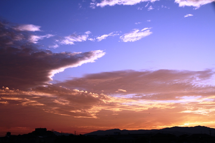 a0097006_637145.jpg