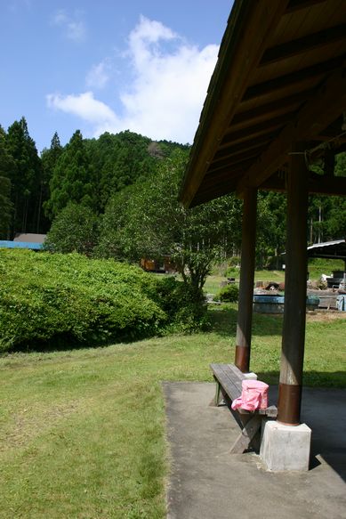 e0254806_131631.jpg