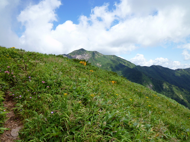 d0170615_9362099.jpg