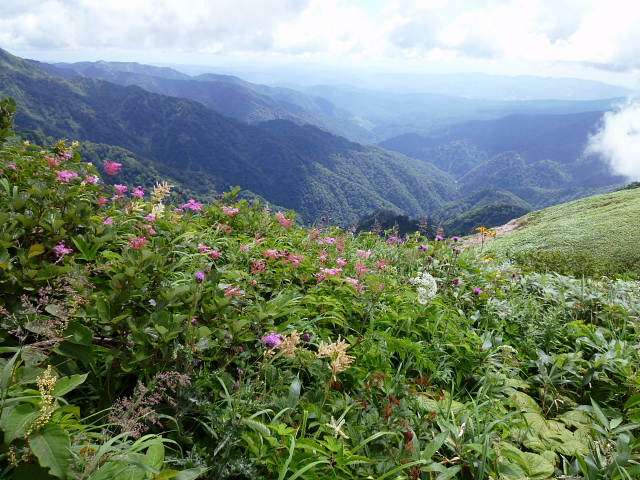 d0170615_9364244.jpg