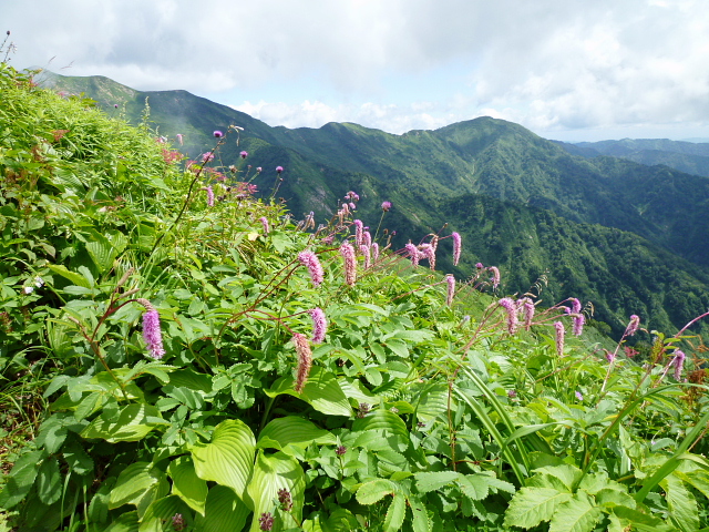 d0170615_9365230.jpg