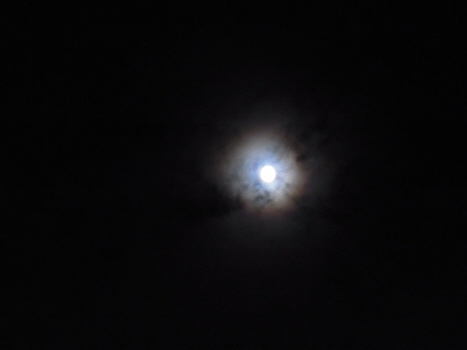 f0108825_16565416.jpg