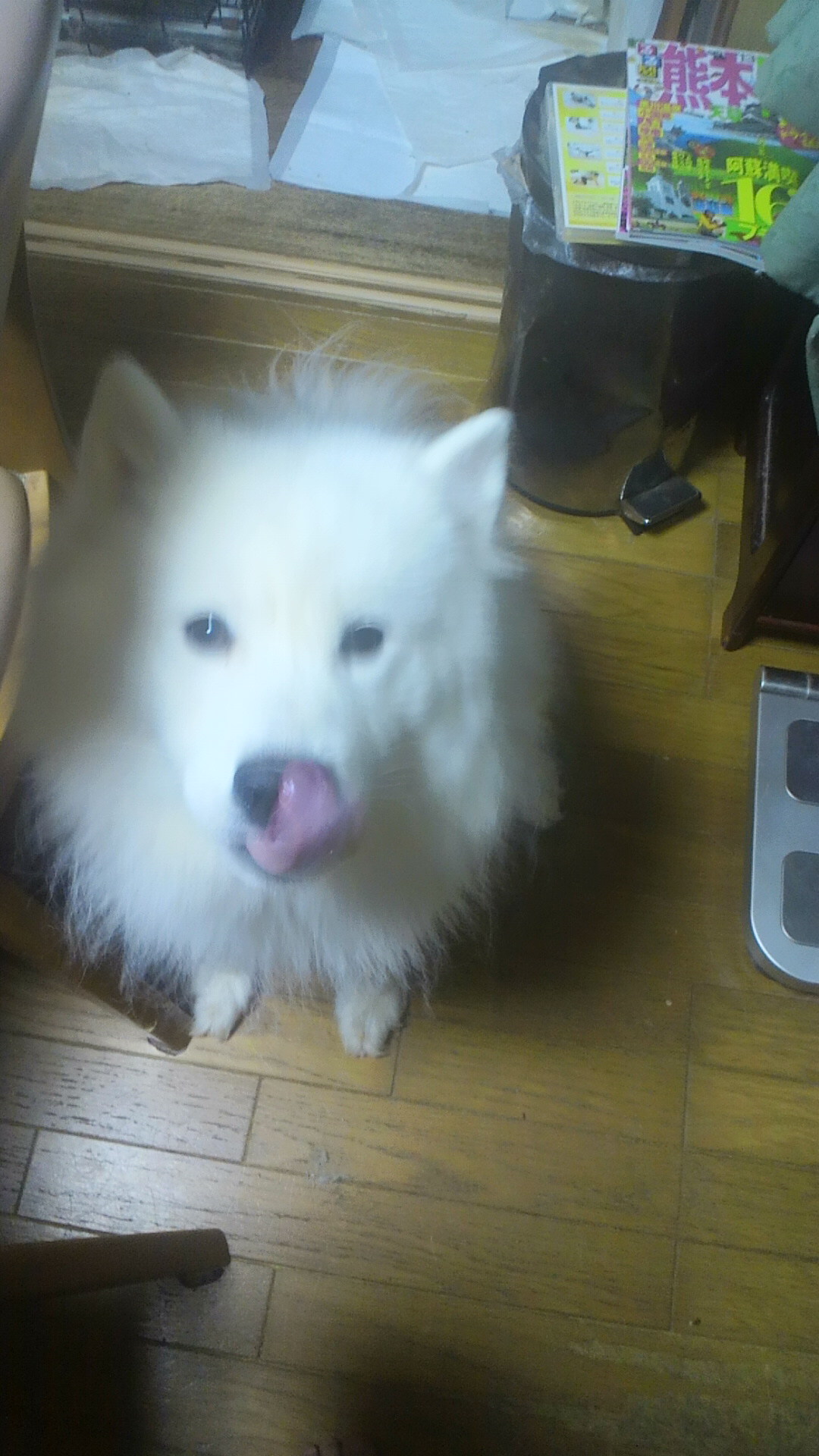 e0024126_20223521.jpg