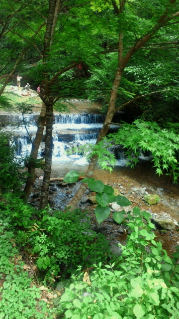 c0201427_2230470.jpg