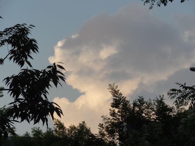 e0016828_1224034.jpg