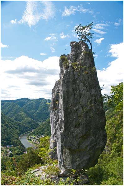 d0029829_19574538.jpg