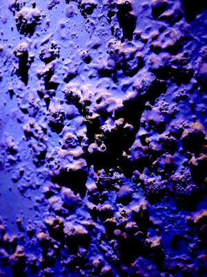 b0035734_1458513.jpg