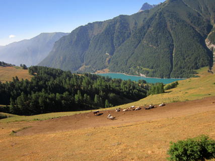 f0234936_2349438.jpg