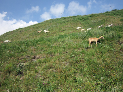 f0234936_23495452.jpg