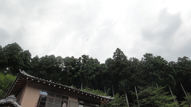 f0208737_7373646.jpg