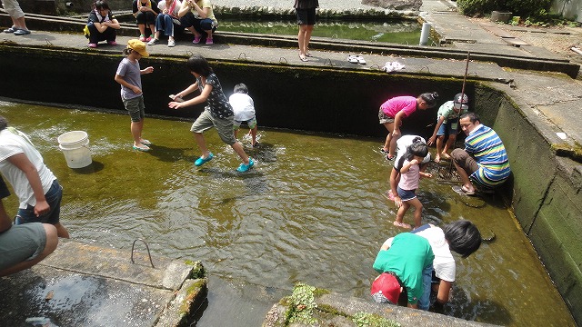 f0208737_743388.jpg