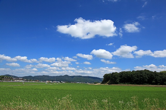 a0242438_221293.jpg