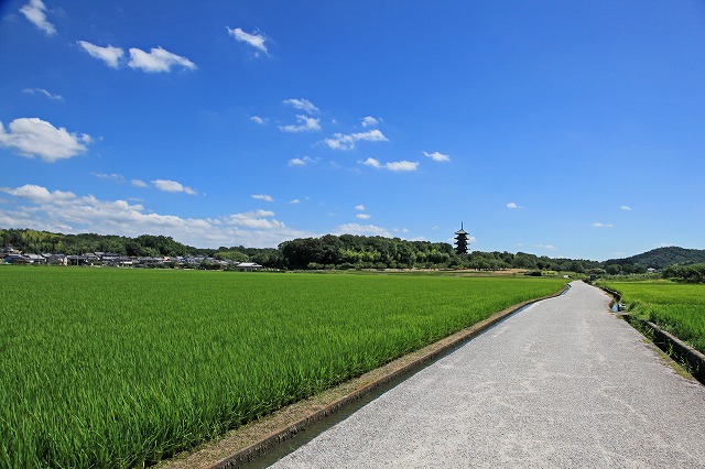 a0242438_2213454.jpg