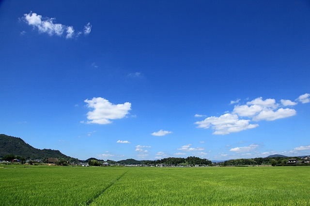 a0242438_2214015.jpg