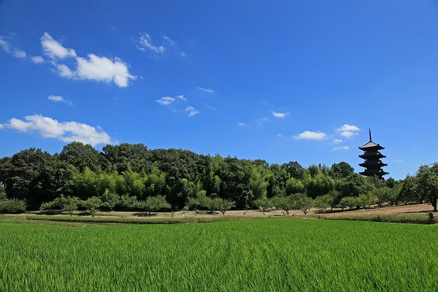 a0242438_221447.jpg
