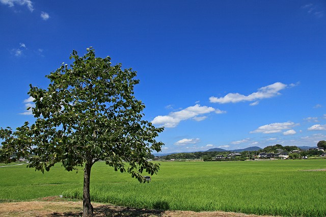 a0242438_2215215.jpg