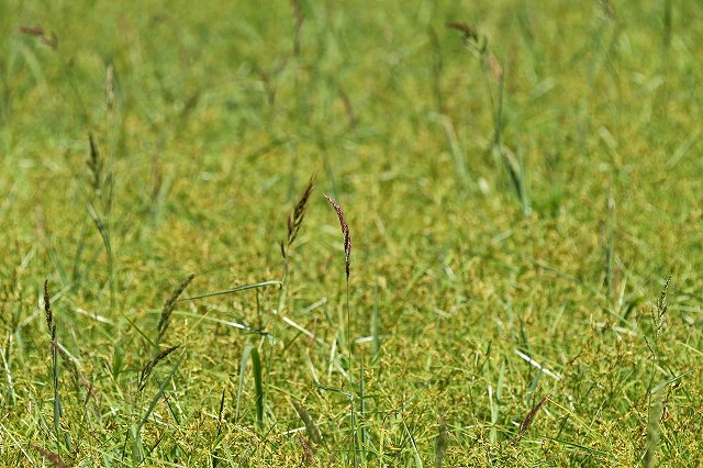 a0242438_2221217.jpg