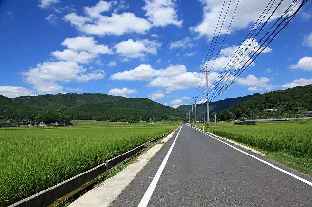 a0242438_2223449.jpg