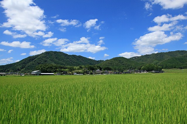 a0242438_2224362.jpg